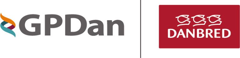 GPDan